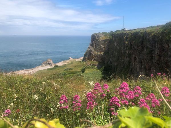 View towards the quarry at Berry Head in Brixham