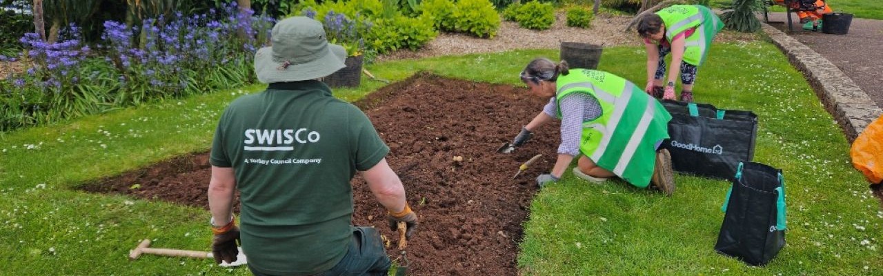 volunteers working with SWISCo staff in a Torbay park