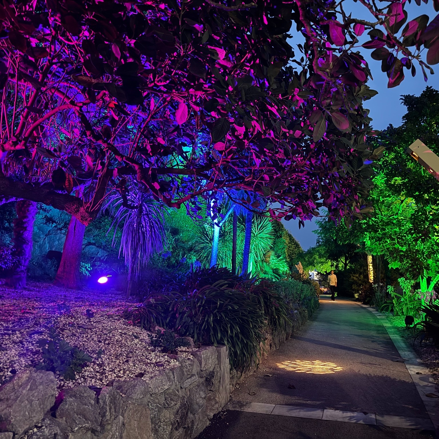 Lights at Royal Terrace Gardens