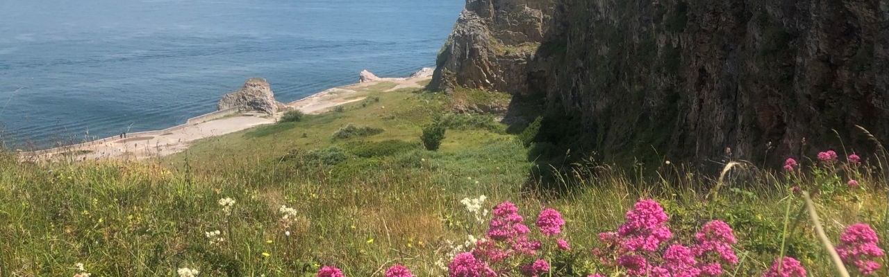 View towards the quarry at Berry Head in Brixham